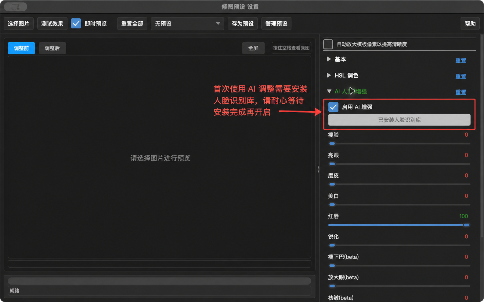 AI 人像增强设置示例(含安装提示)