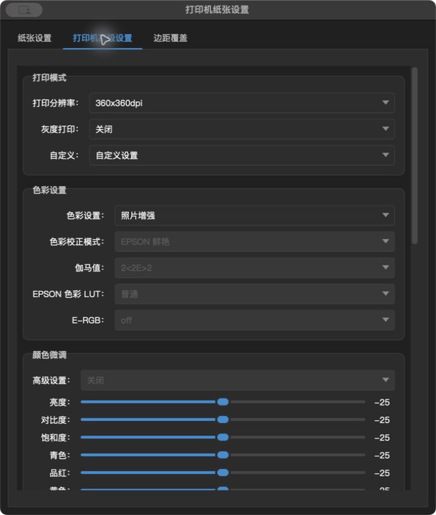 打印机高级设置界面示例(按钮位置以当前版本为准)